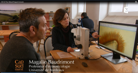 Cap Sud-Ouest Eric Perrin et Magalie Baudrimont Cap Sud-Ouest Eric Perrin et Magalie Baudrimont
